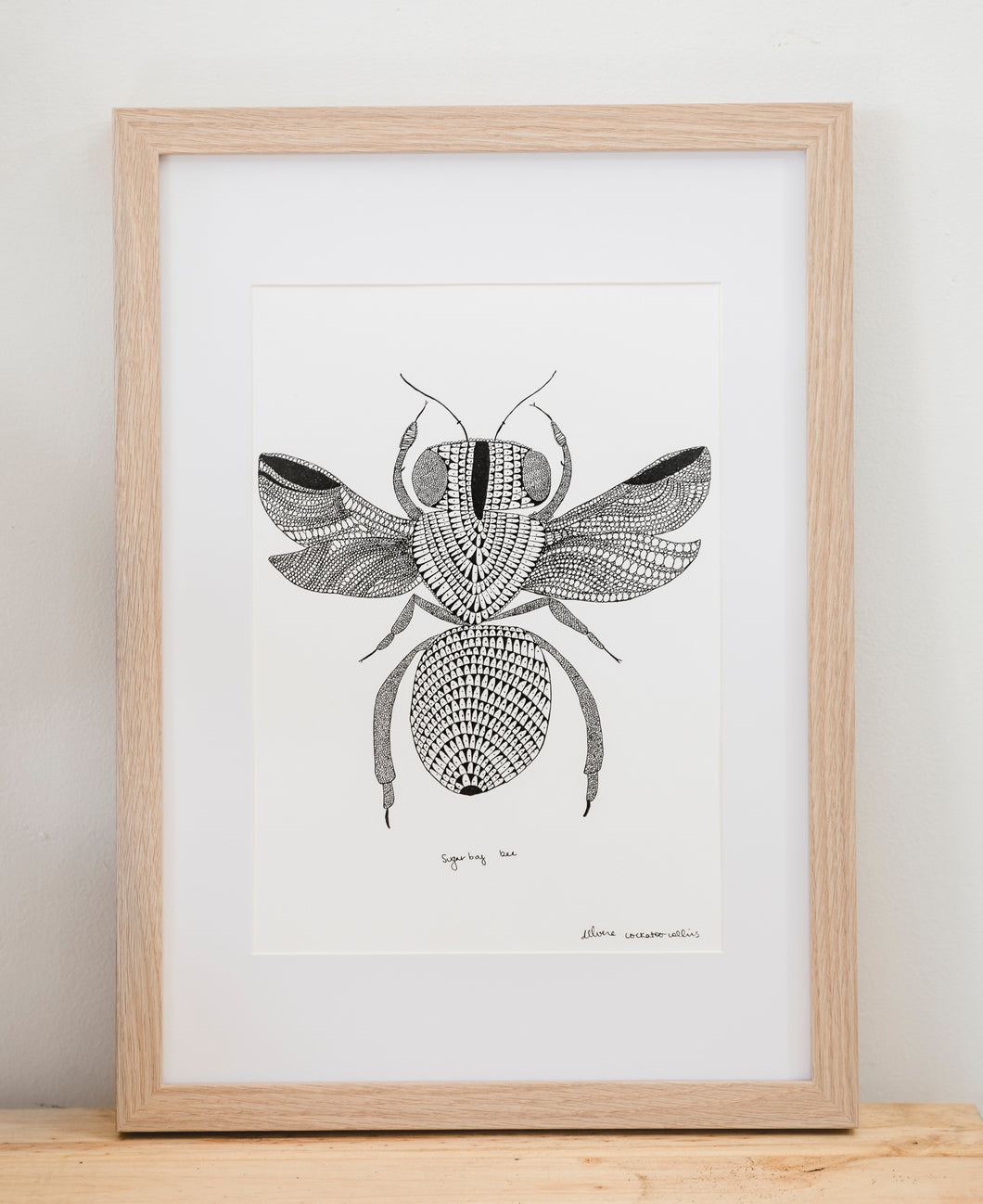 Native Bee Single - Framed Signed A4 Print